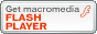 flash player �_�E�����[�h